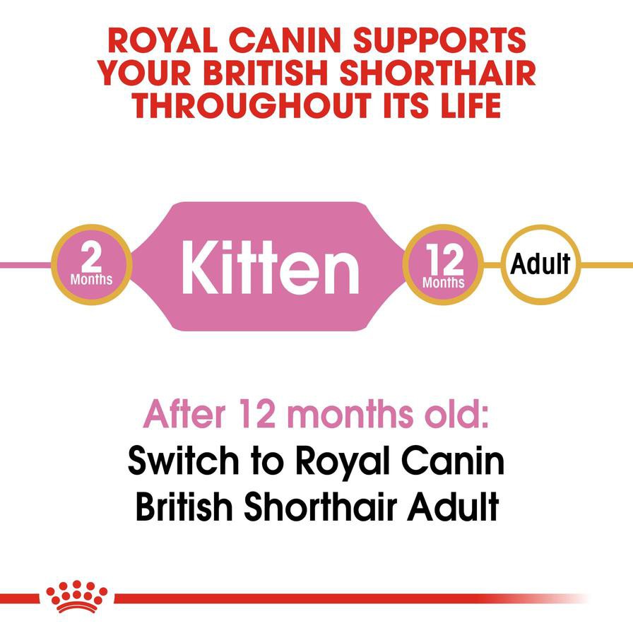 Royal Canin Feline Breed Nutrition British Shorthair Dry Cat Food (Kitten, 2 kg)