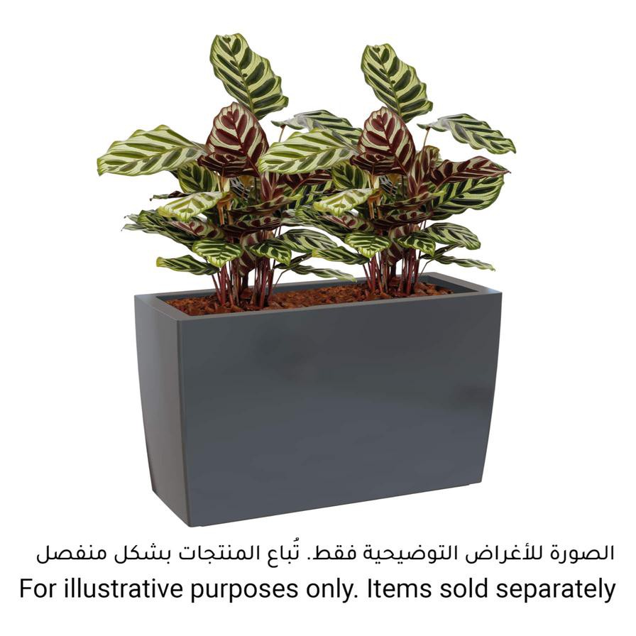 Artevasi Marbella Plastic Plant Box (76 cm)