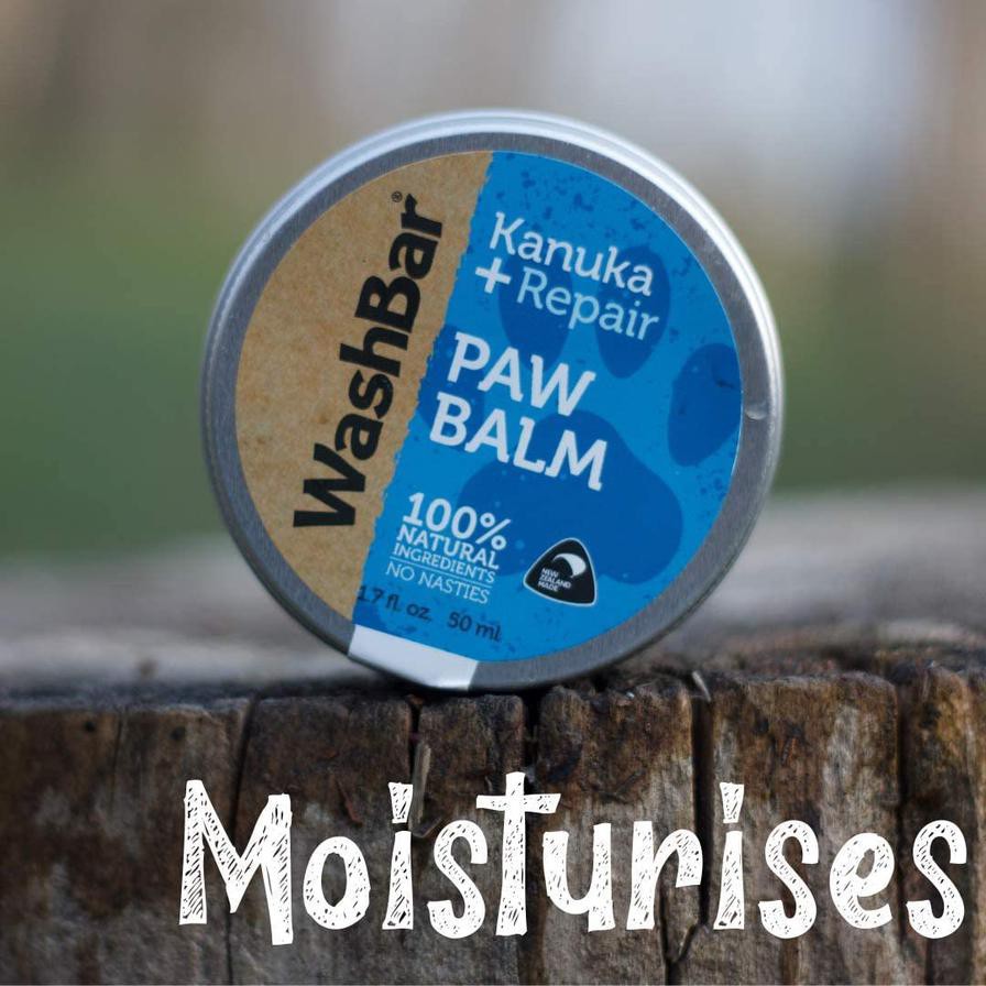 Washbar Paw Balm for Dogs (50 ml)