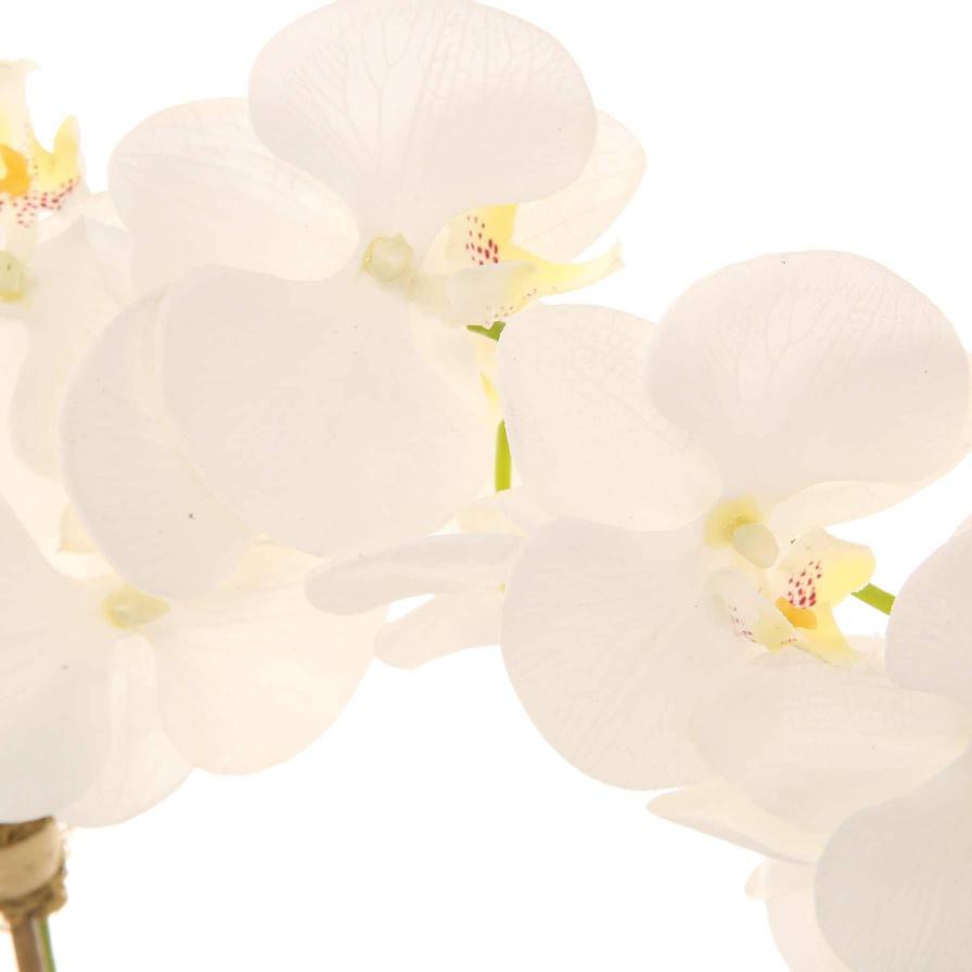 Artificial Orchid Plant (60 cm, White)