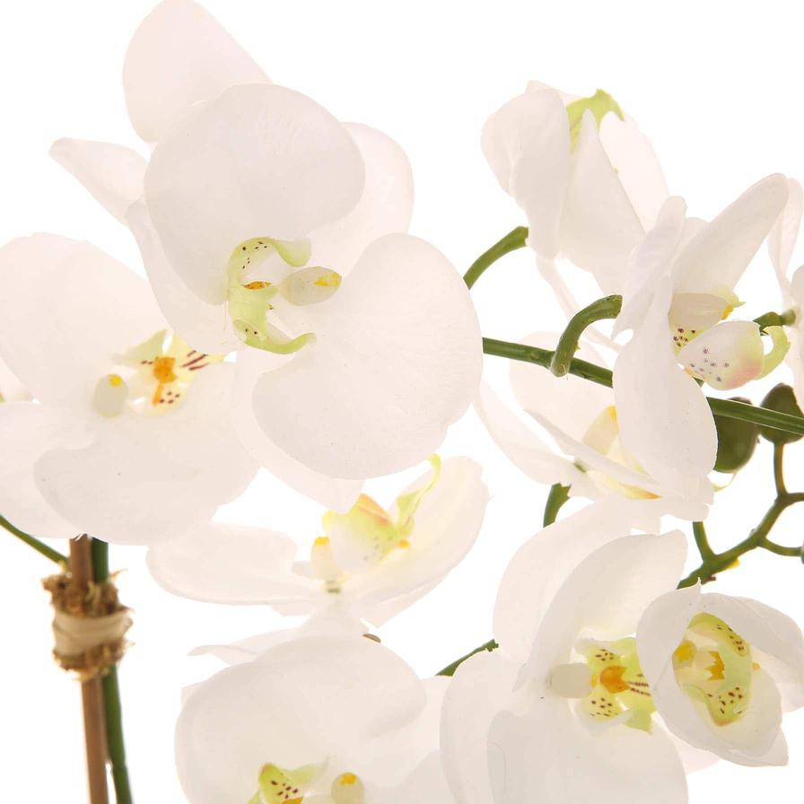 Artificial Orchid Plant (60 cm, White)