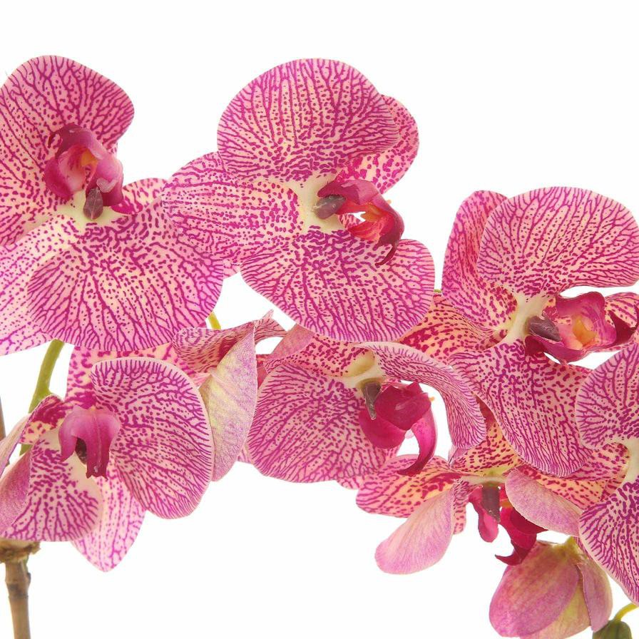 Artificial Orchid Plant (60 cm, Light Purple)