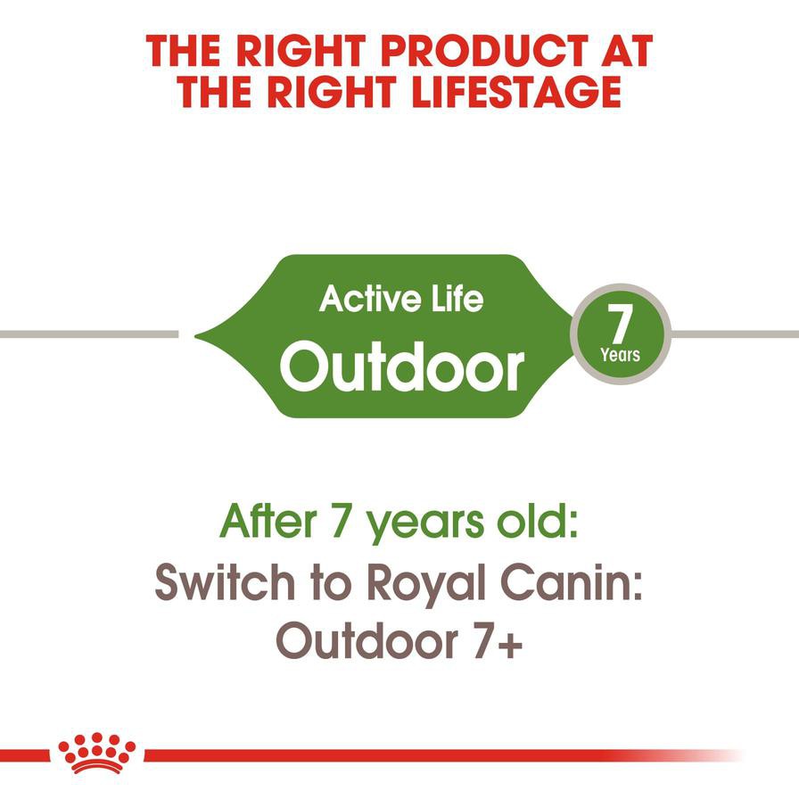 Royal Canin Active Life Outdoor Dry Cat Food (Adult Cats, 2 kg)