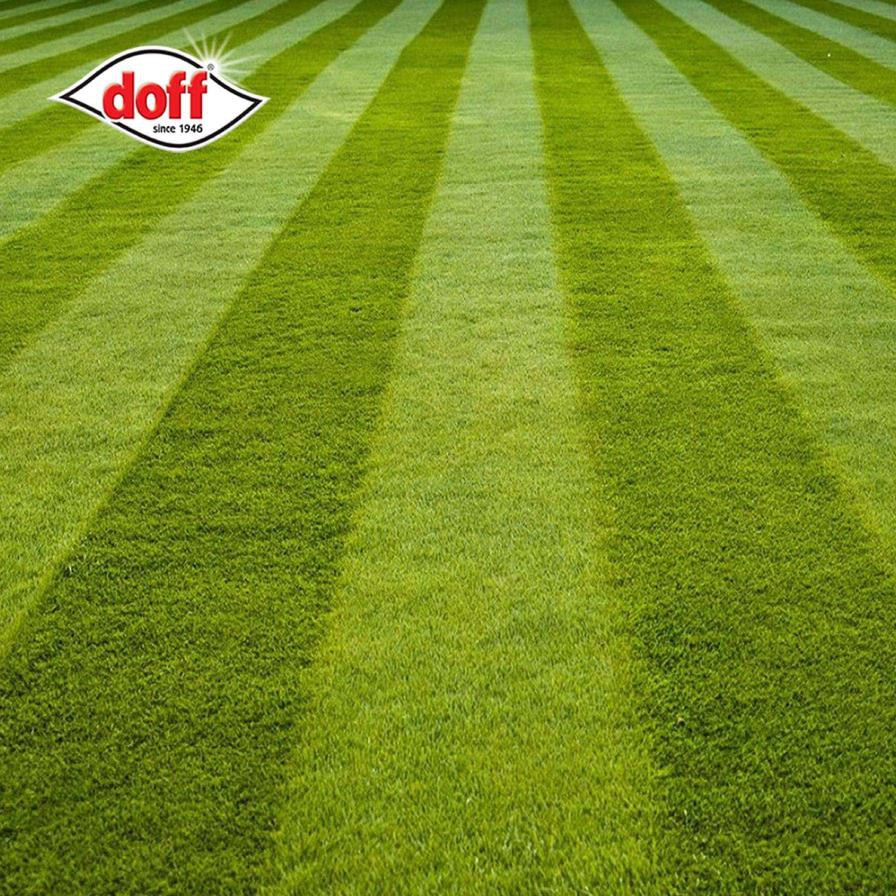 Doff Hardwearing Lawn Seed (1 kg)