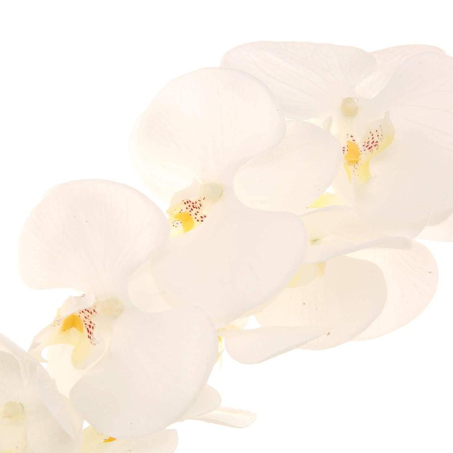 Artificial Orchid Plant (60 cm, White)