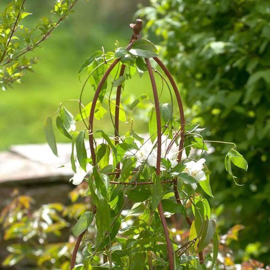 Fallen Fruits 3D Round Bird Plant Support (48 x 48 x 169 cm)