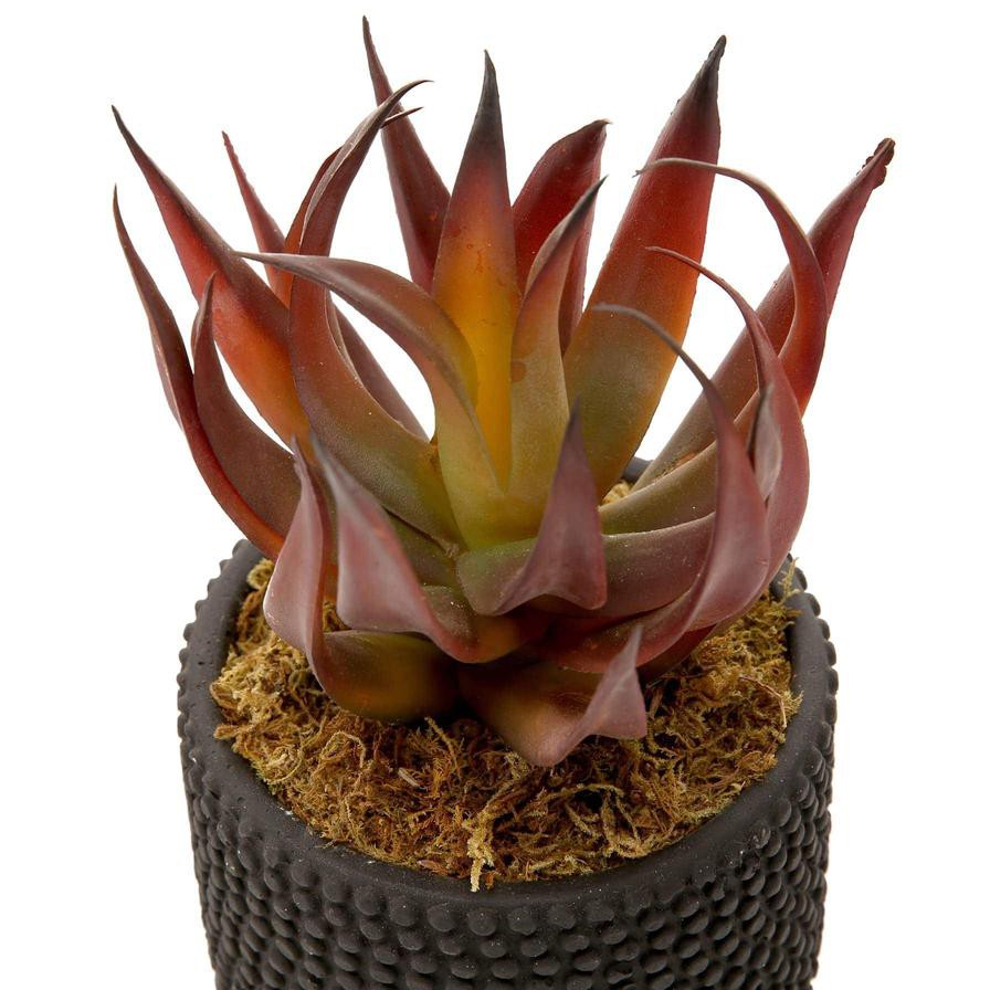 Artificial Potted Aloe Plant (20 cm, Red)