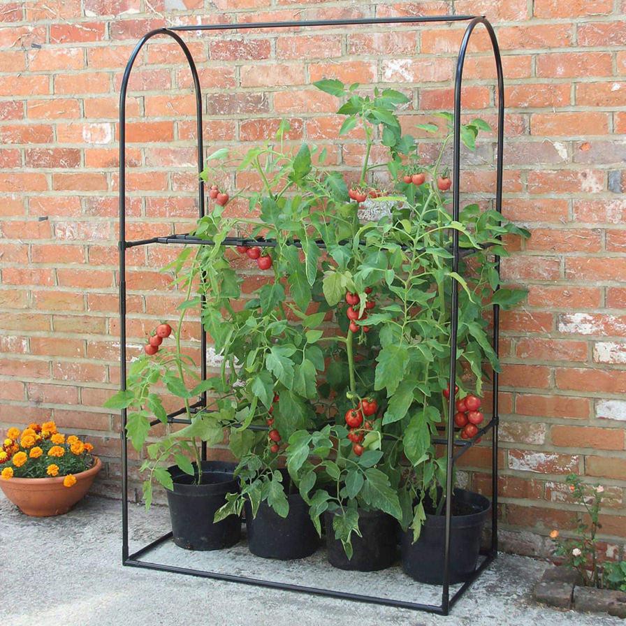 Haxnicks Tomato Crop-Booster Frame