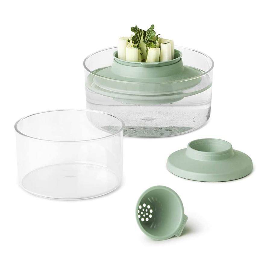 Brabantia Tasty+ Herbs & Vegetable Regrow Kit (18 x 10 cm)