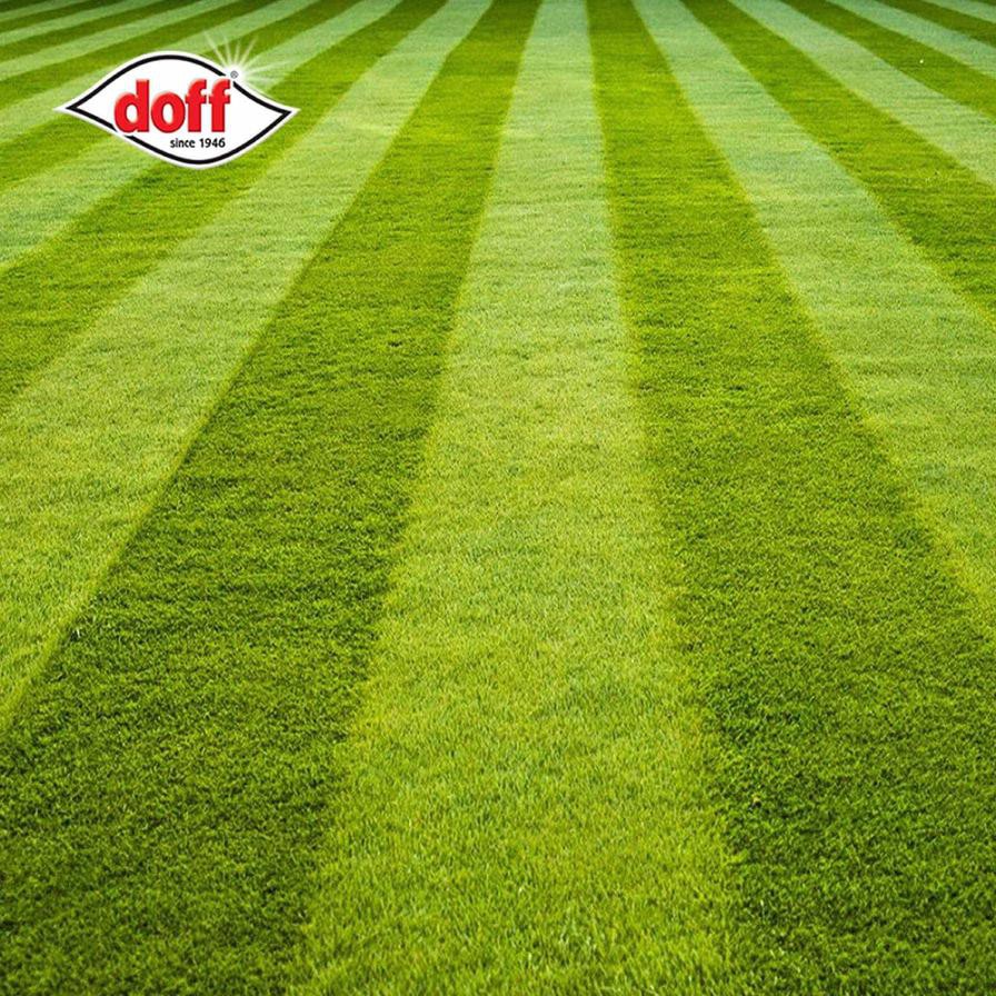 Doff Hardwearing Lawn Seed (500 g)