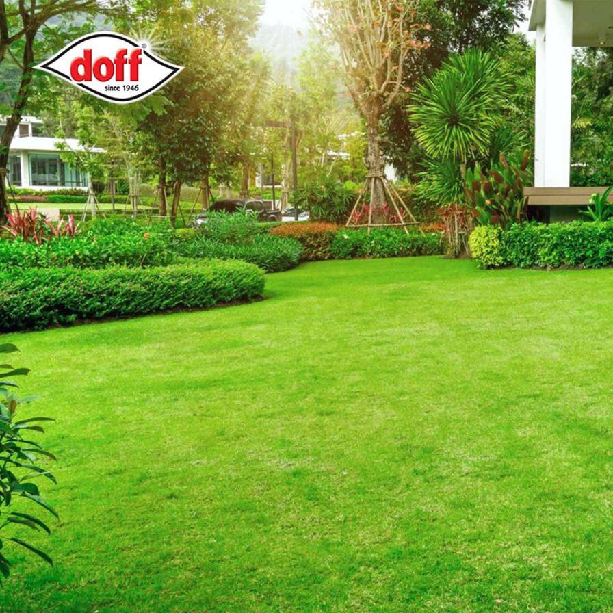 Doff 4-in-1 Lawn Feed, Weed & Moss Killer (1 kg)