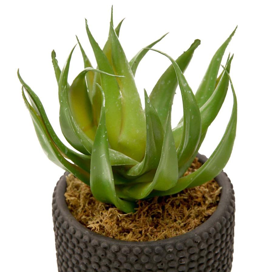 Artificial Potted Aloe Plant (20 cm, Green)