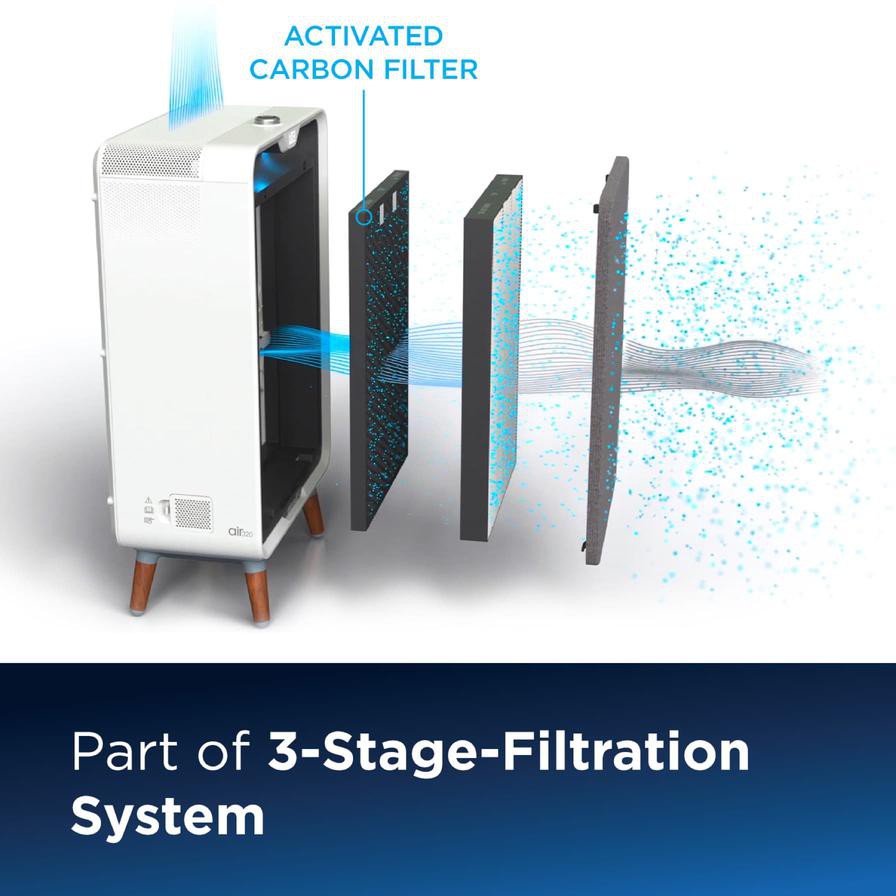 Bissell Activated Carbon Filter Replacement