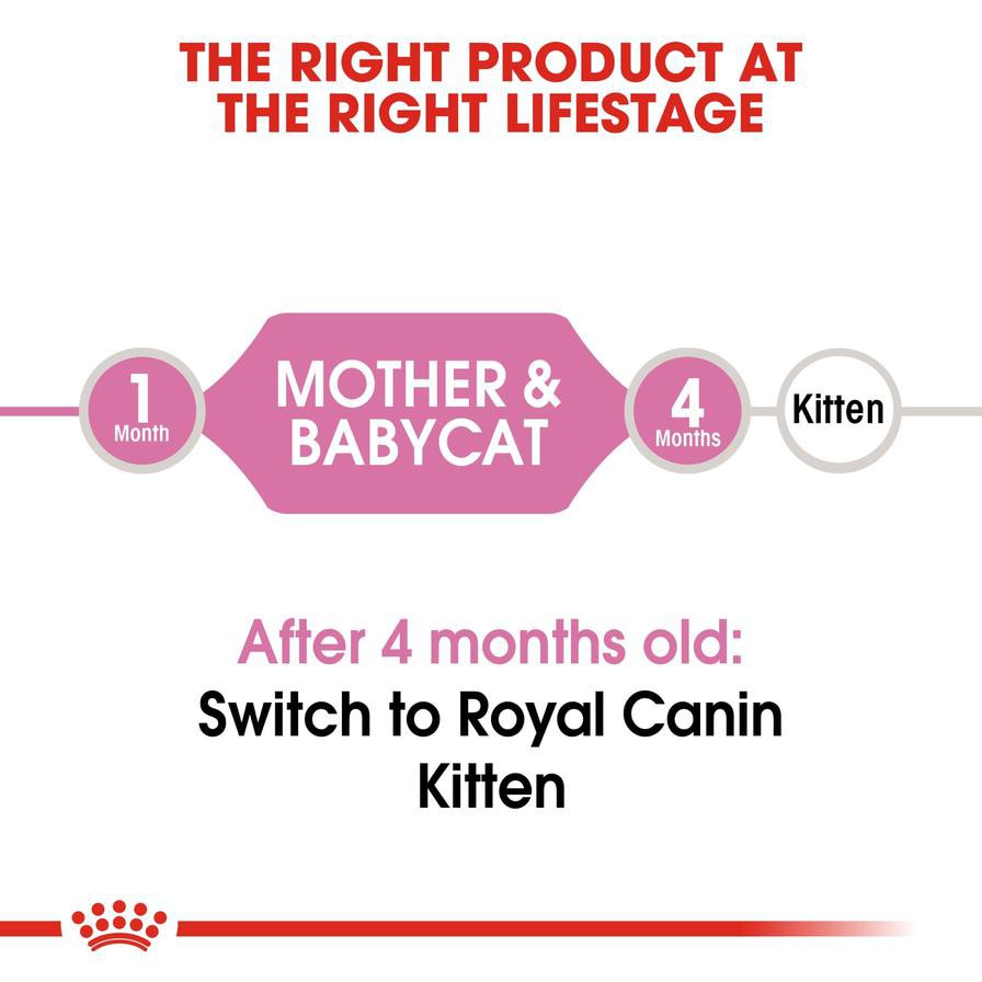 Royal Canin Feline Health Mother and Baby Cat Food (2 kg)