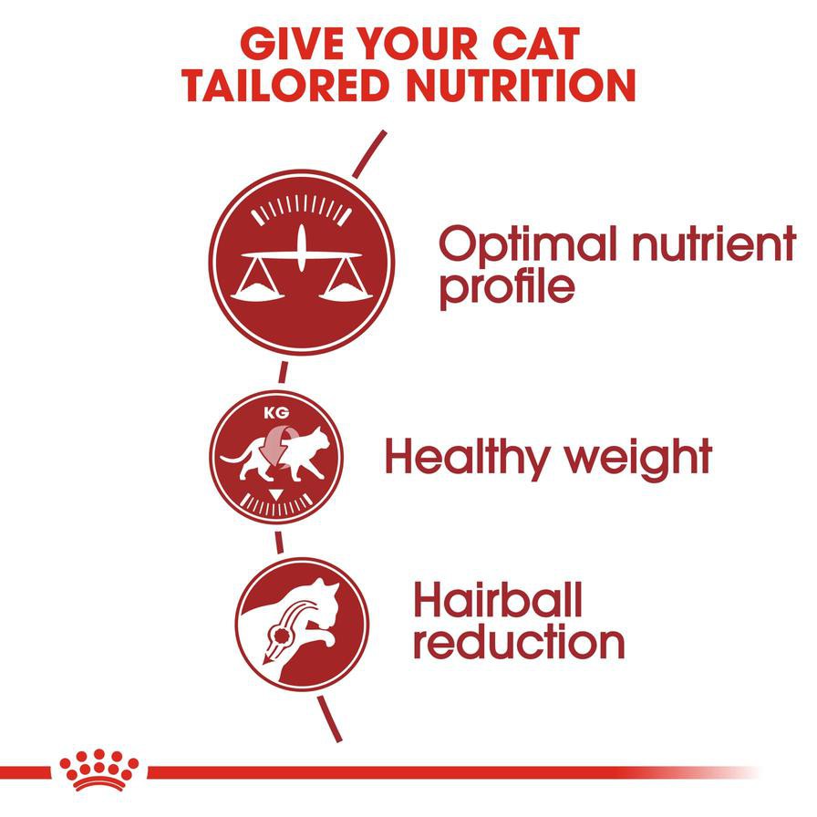 Royal Canin Feline Health Nutrition Fit Cat Food (2 kg)