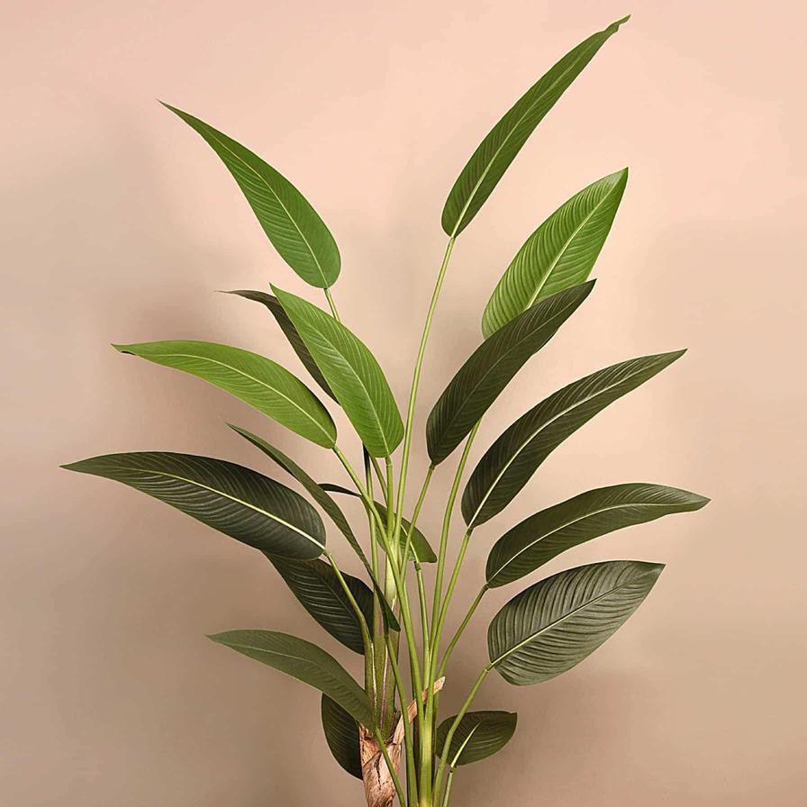 Mr Plant Strelitzia Artificial Tree W/Black Pot (30 x 30 x 185 cm)