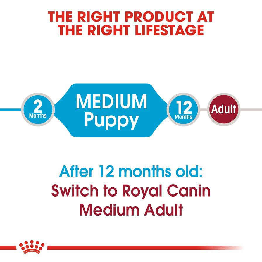 Royal Canin Health Nutrition Medium Junior Dog Food (4 kg)