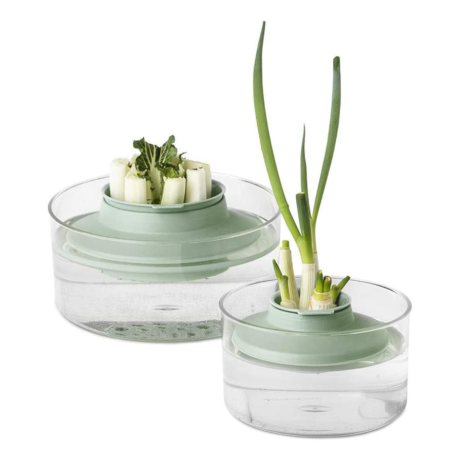 Brabantia Tasty+ Herbs & Vegetable Regrow Kit (18 x 10 cm)