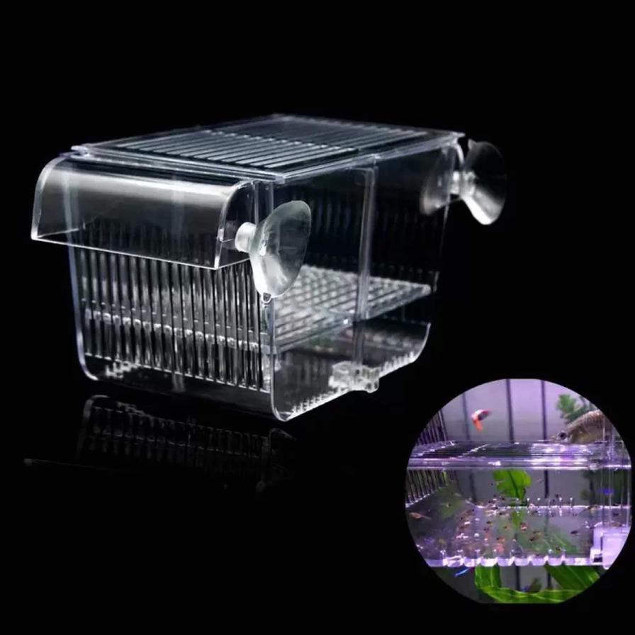 Foshan Acrylic Fish Hatchery Box