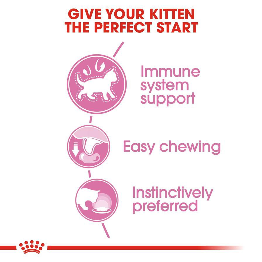 Royal Canin Feline Health Nutrition Instinctive Wet Cat Food (Chunks in Gravy, Kittens, 85 g)