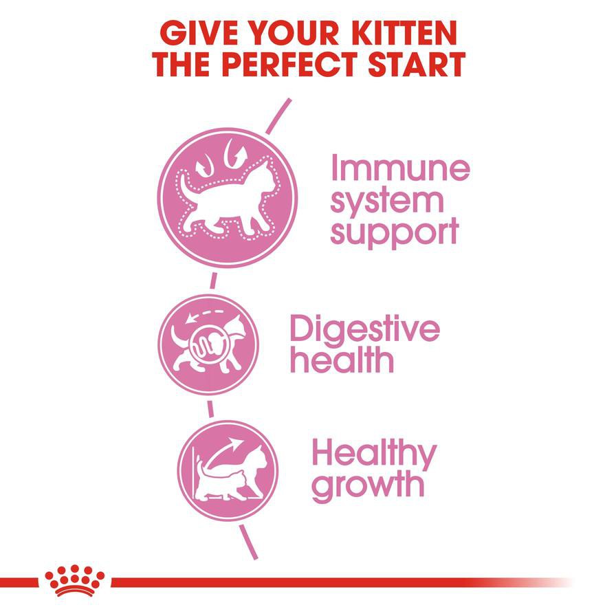 Royal Canin Feline Health Nutrition Kitten Food (10 kg)