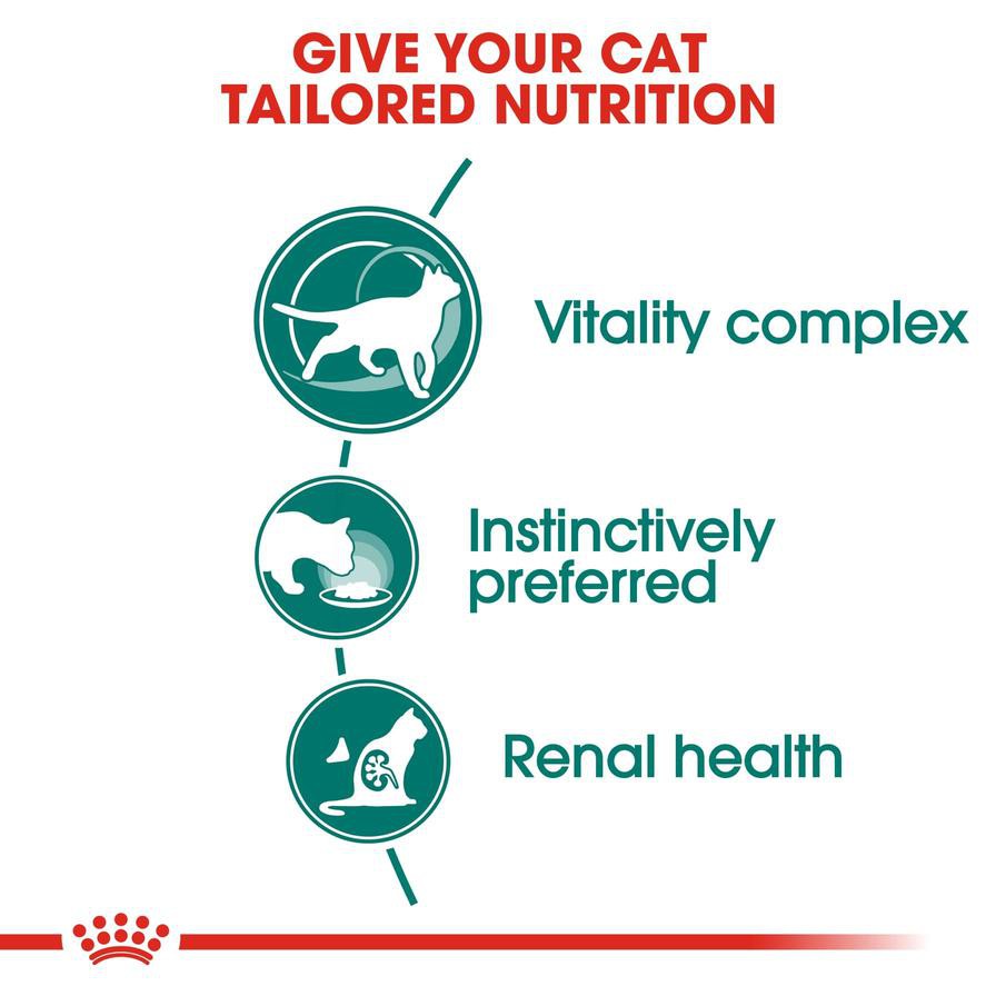 Royal Canin Feline Health Nutrition Instinctive Wet Cat Food (Gravy, Adult Cats, 85 g)