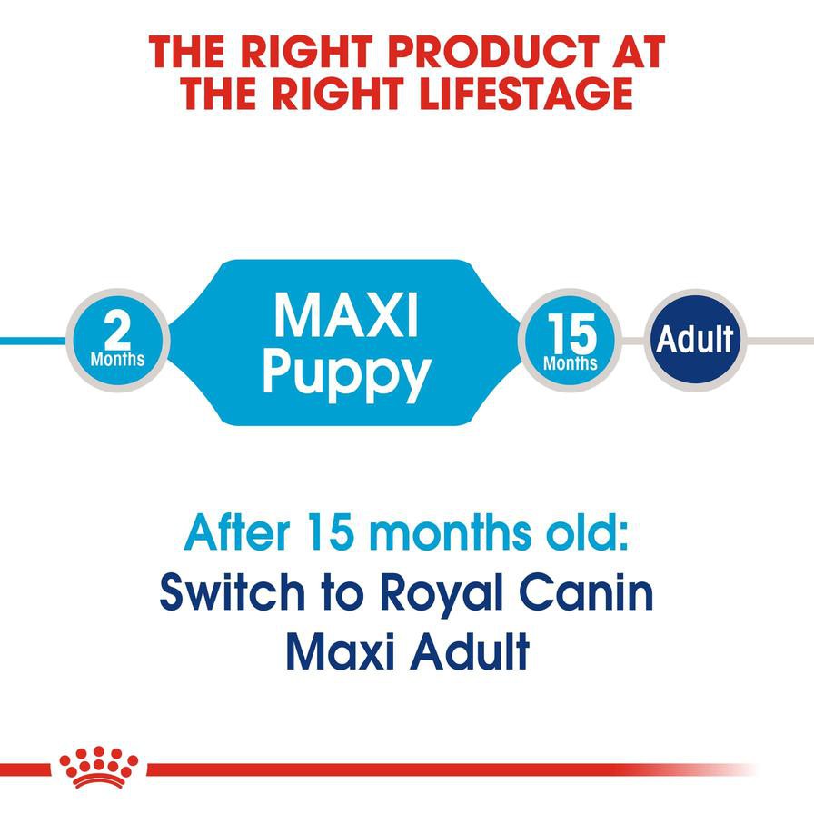 Royal Canin Size Health Nutrition Maxi Junior Dog Food (15 kg)