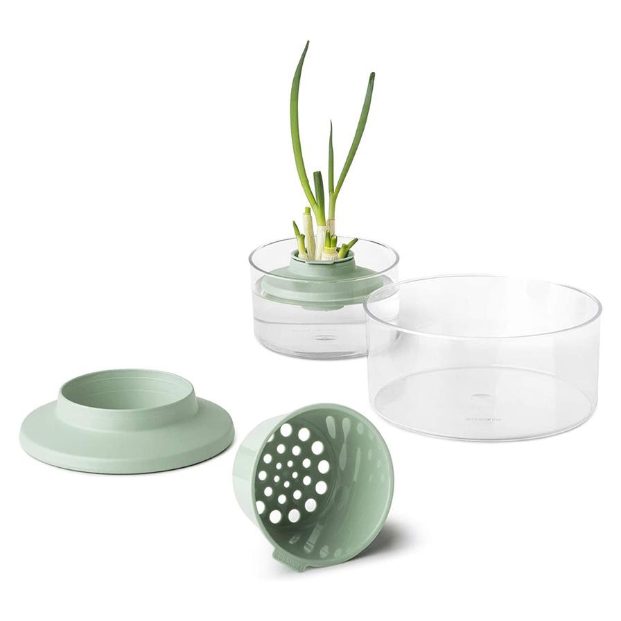 Brabantia Tasty+ Herbs & Vegetable Regrow Kit (18 x 10 cm)