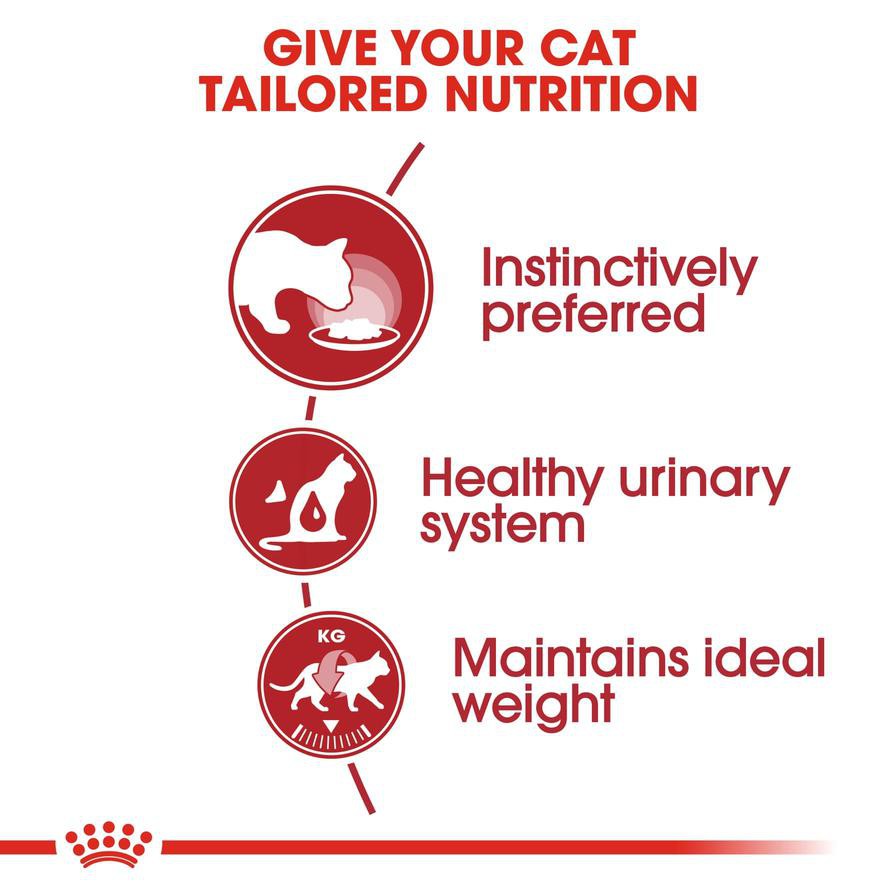 Royal Canin Feline Health Nutrition Instinctive Wet Cat Food (Chunks in Gravy, Adult Cats, 85 g)