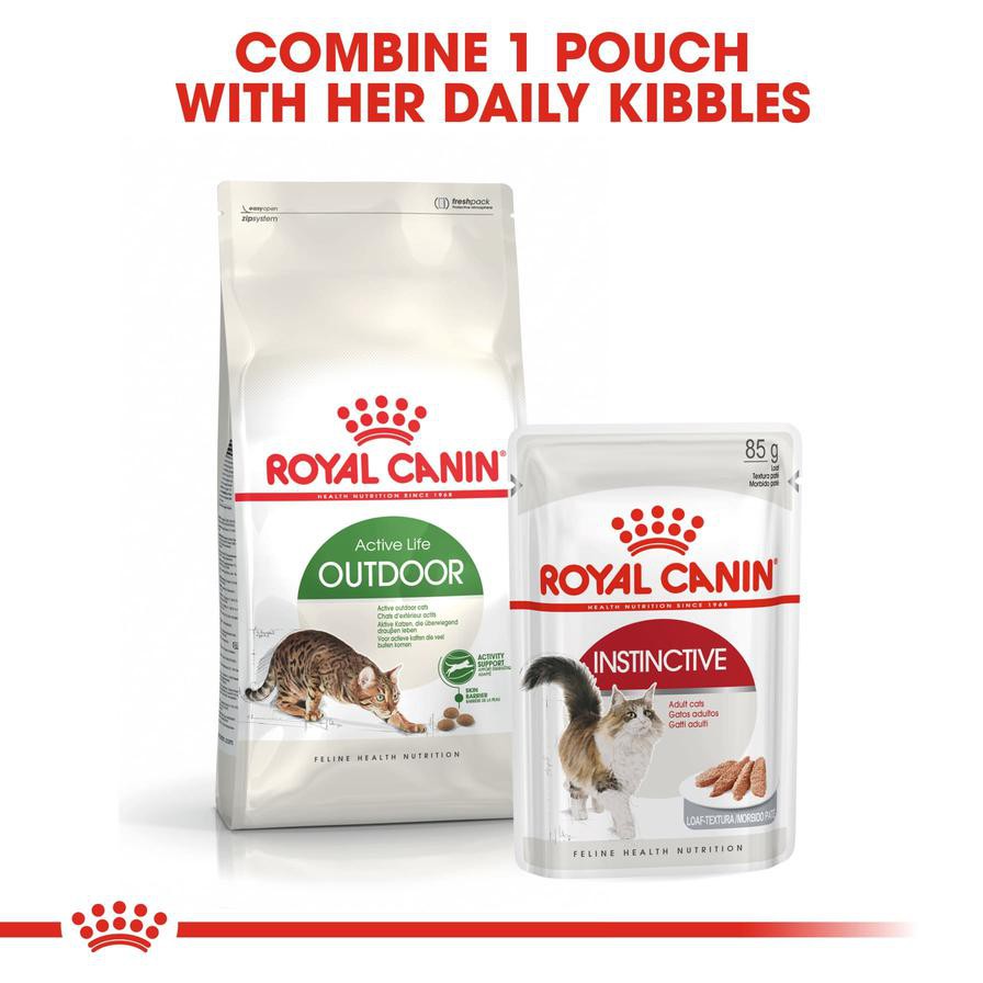 Royal Canin Active Life Outdoor Dry Cat Food (Adult Cats, 2 kg)