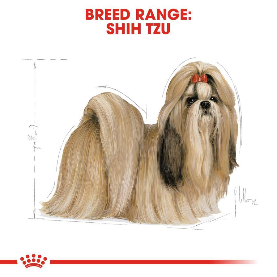 Royal Canin Breed Health Nutrition Shih Tzu Junior Dog Food (1.5 kg)