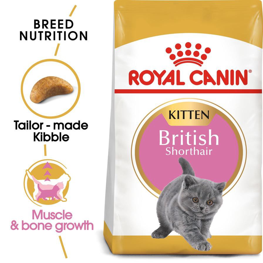 Royal Canin Feline Breed Nutrition British Shorthair Dry Cat Food (Kitten, 2 kg)