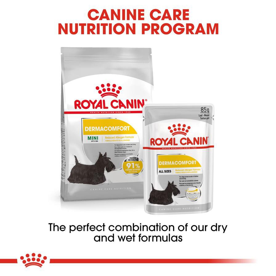 Royal Canin Canine Care Nutrition Dermacomfort Dry Dog Food (Mini Adult Dogs, 3 kg)