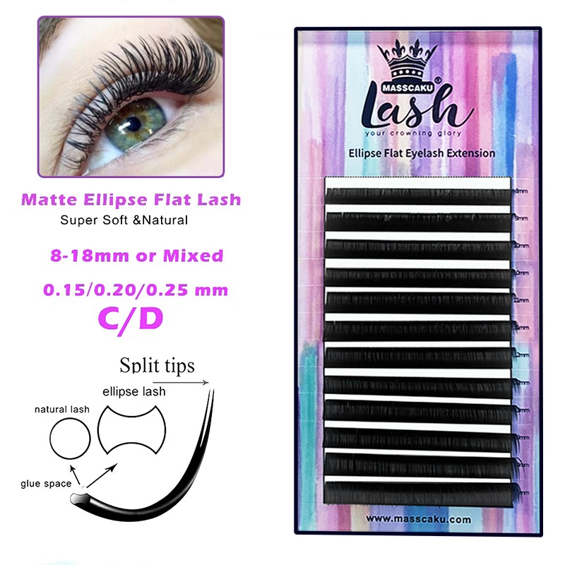 Hot Sale PBT Korean Flat Oval Eyelashes Extensions with Private Label False Eyelashes Individual Supplies