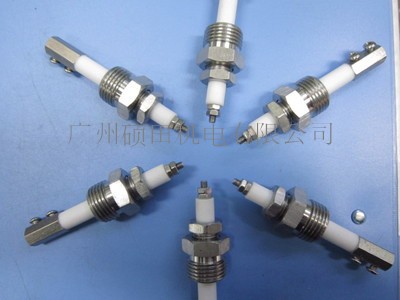 High temperature and high pressure boiler tube electrode, water level probe, thread 1/2" match probe to extend screw.