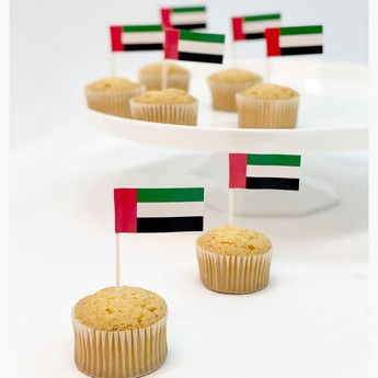 UAE National Day Flag Picks - Set of 30