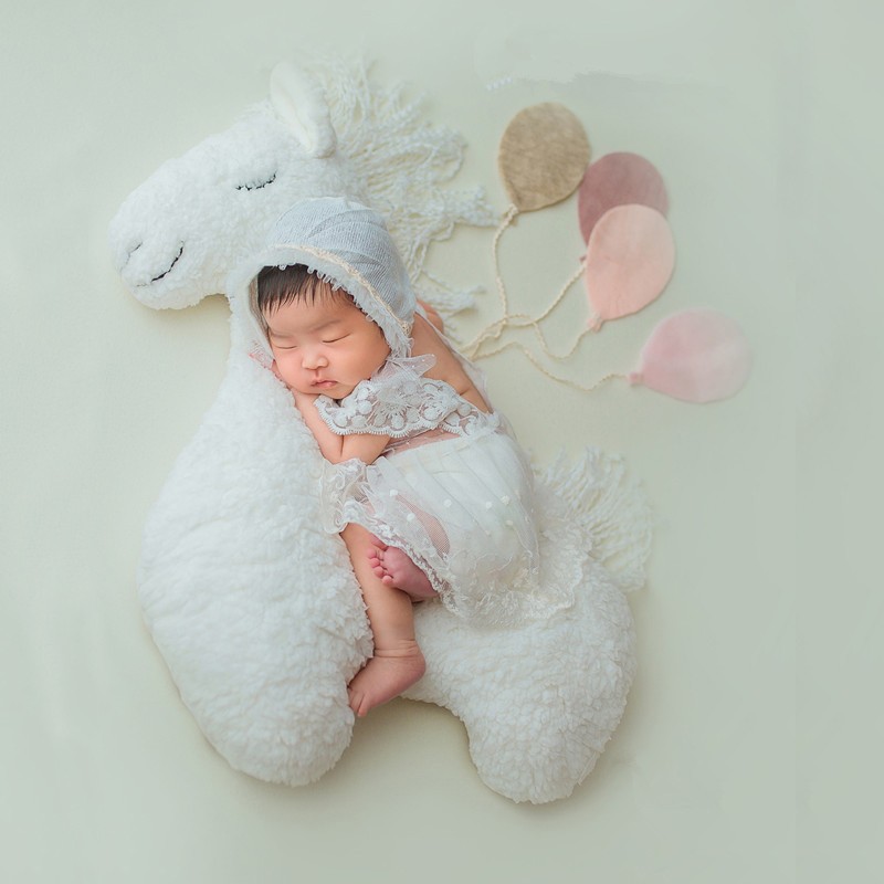 Newborn Photography Pillow Pegasus Horse Photo Props Doll Pillow Infant Photo Shoot Studio Accessories Posing Bean