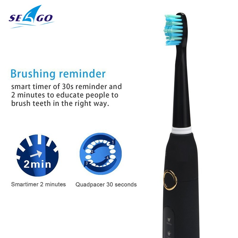 Seago Sonic Electric Toothbrush SG-507 Adult Timer Brush 5 Modes USB Charger Rechargeable Toothbrush Replacement Heads Set