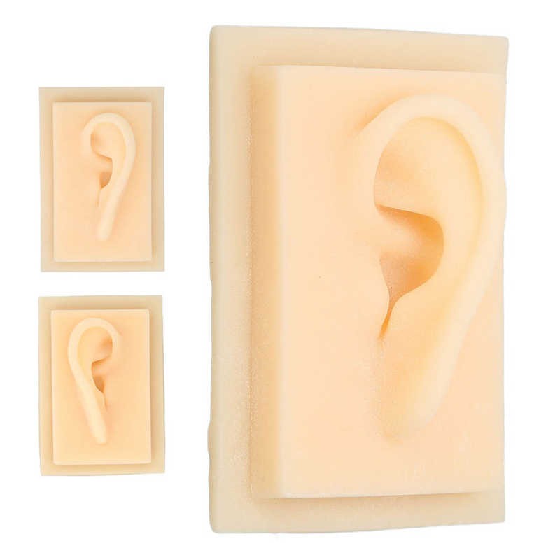 Silicone Ear Fake Ear Glossy Texture for Teaching Demonstration