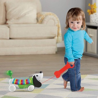 Leap Frog Alphapup Toy