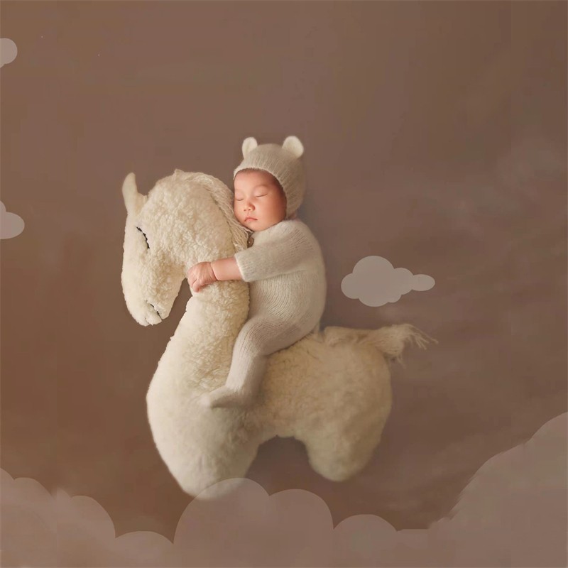 Newborn Photography Pillow Pegasus Horse Photo Props Doll Pillow Infant Photo Shoot Studio Accessories Posing Bean