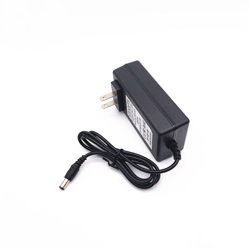 Wall Mounted DC 24V 2A Power Adapter DC 24V 2A Switching Power Supply Module 24V 1.5A 1A LED Light