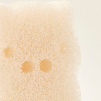 Bebecare Teddy Bear Natural White Konjac Bath Sponge