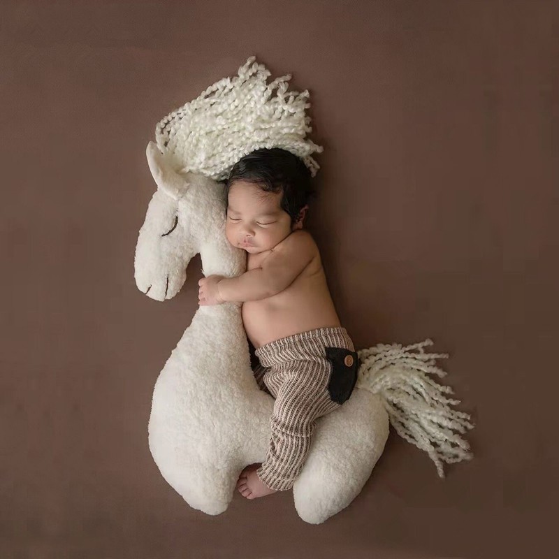 Newborn Photography Pillow Pegasus Horse Photo Props Doll Pillow Infant Photo Shoot Studio Accessories Posing Bean