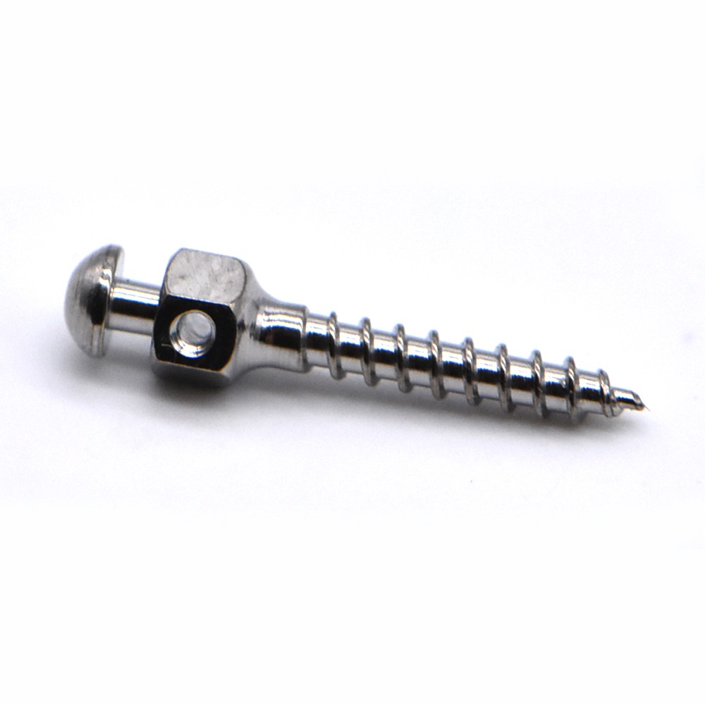 1 Set Screwdriver + 10pcs Dental Mini Screws Orthodontic Screwdriver Mini Screw Screwdriver Handle Drill Tool 1.8mm*8mmX10