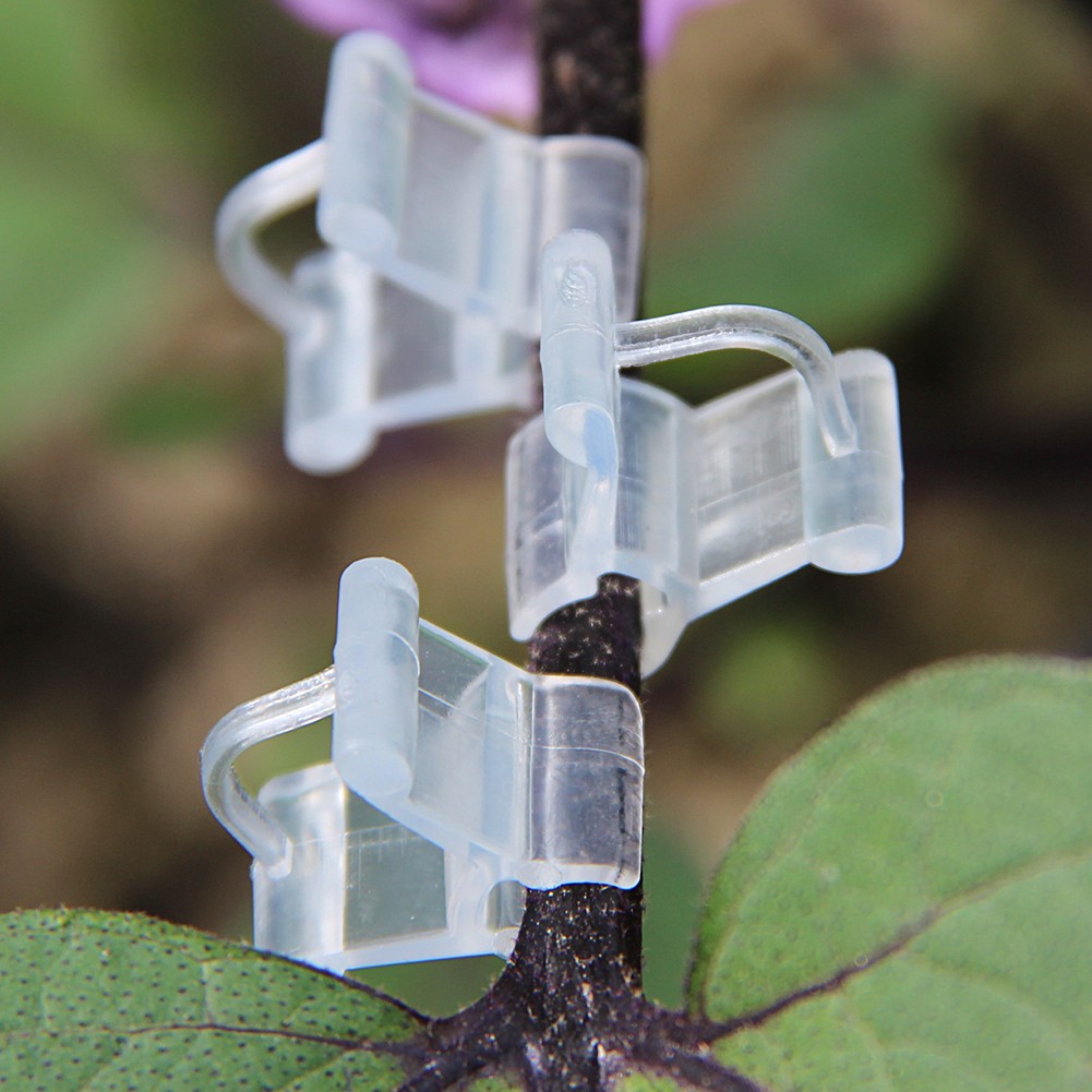 100pcs Transparent Reusable Durable Portable Garden Seedling Tools Greenhouse Plants PE Fruit Vegetable Grafting Clips