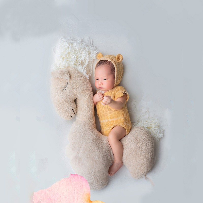 Newborn Photography Pillow Pegasus Horse Photo Props Doll Pillow Infant Photo Shoot Studio Accessories Posing Bean