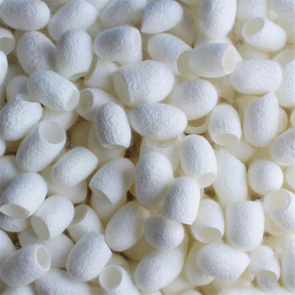 100pcs Silkworm Balls Purifying Whitening Exfoliating Blackhead Remover Natural Silk Cocoon Facial Skin Care Best Gifts