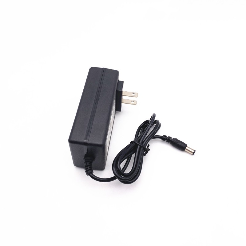 Wall Mounted DC 24V 2A Power Adapter DC 24V 2A Switching Power Supply Module 24V 1.5A 1A LED Light