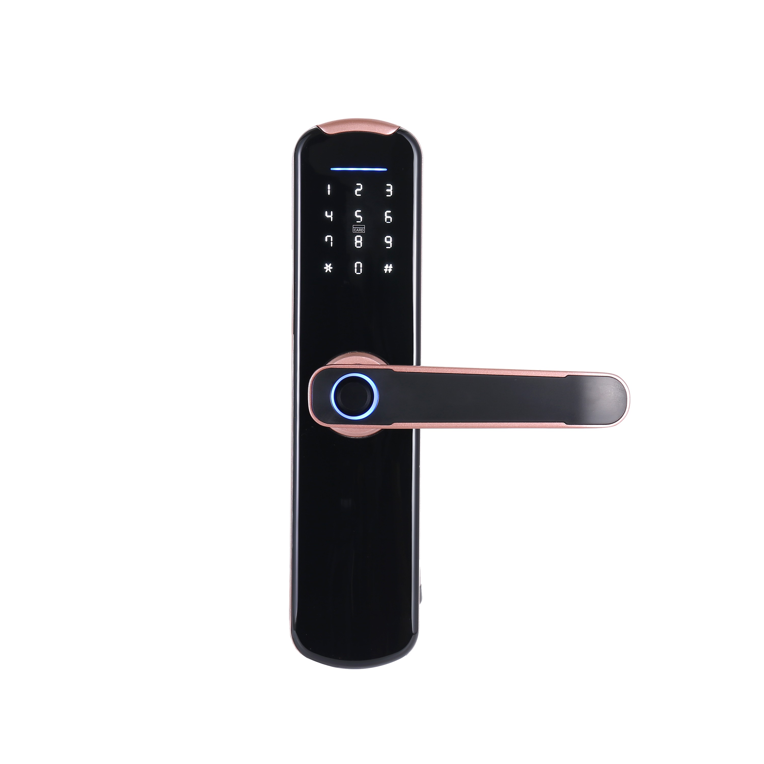 2022 Smart Tuya APP WIFI Phone Remote Control Electric Fingerprint Lock Password Code Number IC Card Door Lock With Key